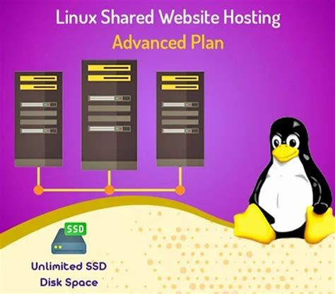Web Hosting, Linux Shared Web Hosting .